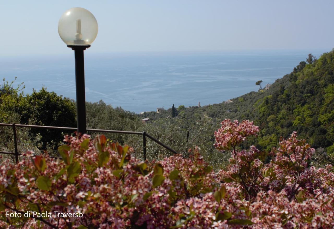 Villa Azalea Recco Exterior foto