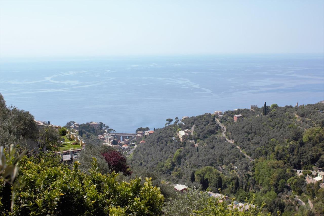Villa Azalea Recco Exterior foto