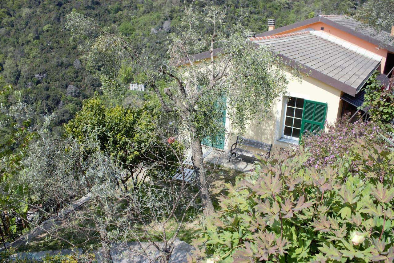 Villa Azalea Recco Exterior foto